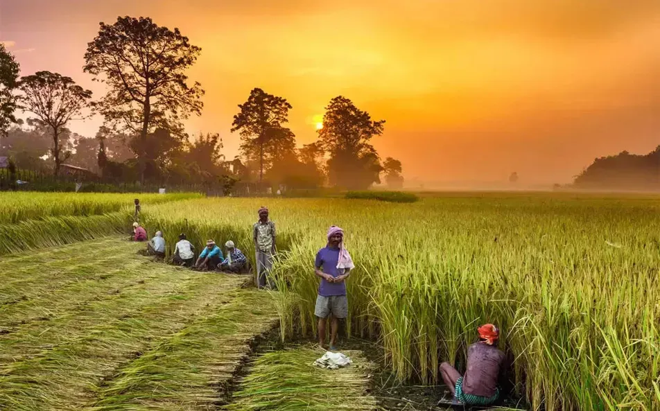 Agricultural Sector